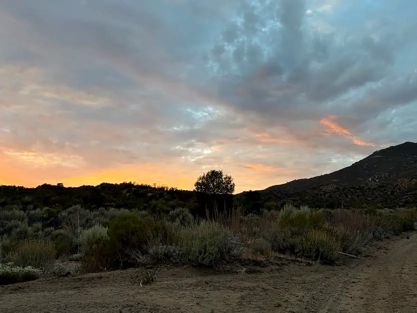 Dramatic clouds opening above native brush