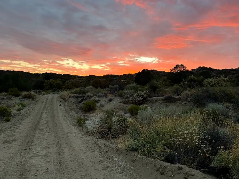 Desert road beneath a glowing sunset